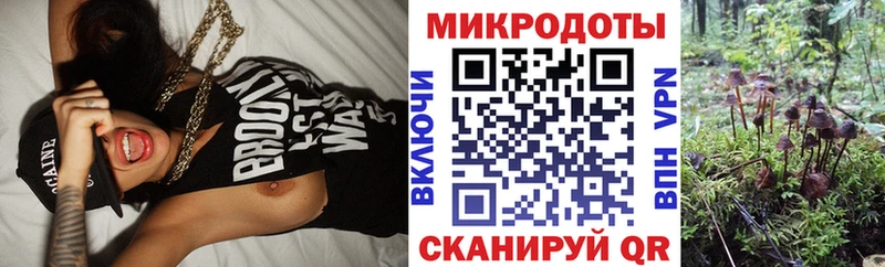 Галлюциногенные грибы MAGIC MUSHROOMS  Мценск 